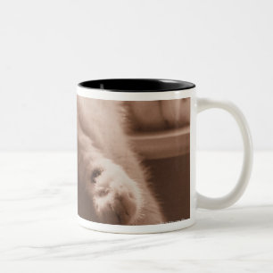 Schlafenkatze Zweifarbige Tasse