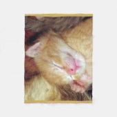 Schlafenkatzen-Fleece-Decke Fleecedecke (Vorderseite)