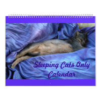 Schlafenkatzen-Kalender