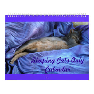 Schlafenkatzen-Kalender Kalender