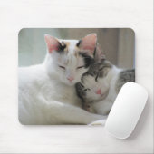 Schlafenkatzen Mousepad (Mit Mouse)