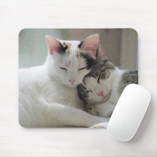 Schlafenkatzen Mousepad (Mit Mouse)