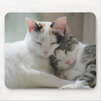 Schlafenkatzen Mousepad