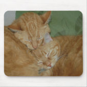 Schlafenkatzen Mousepad (Vorne)