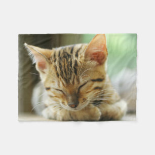 Schlafenkleine Baby-Miezekatze Fleecedecke