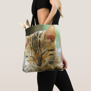 Schlafenkleine Baby-Miezekatze Tasche