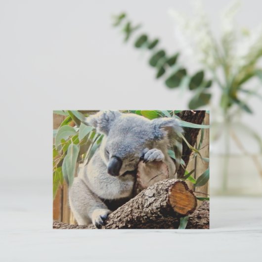 Schlafenkoala-Bär Postkarte (Stehend Vorderseite)
