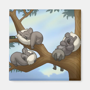 Schlafenkoala-Magnet Magnet