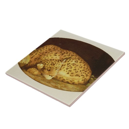Schlafenleopard George-Stubbs |, 1777 (Email an Fliese (Seite)