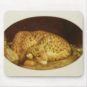Schlafenleopard George-Stubbs |, 1777 (Email an Mousepad (Vorne)