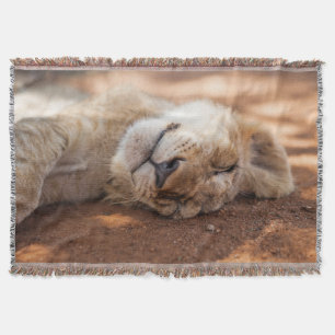 Schlafenlöwe CUB Getty Bild- Decke