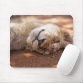 Schlafenlöwe CUB Getty Bild-| Mousepad (Mit Mouse)