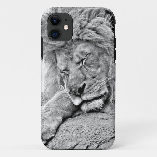 Schlafenlöwe iPhone 5 Fall Case-Mate iPhone Hülle (Rückseite)