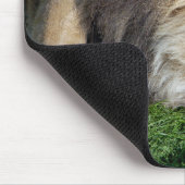 Schlafenlöwe Mousepad (Ecke)