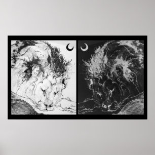 Schlafenlöwen: Yin u. Yang Poster