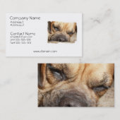 Schlafenmastiff-HundeVisitenkarte Visitenkarte (Vorne/Hinten)