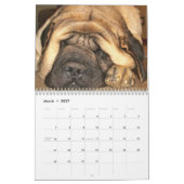 Schlafenmastiff-Kalender Kalender (Mär 2027)