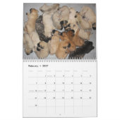 Schlafenmastiff-Kalender Kalender (Feb 2027)