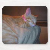 SchlafenMiezekatze Mousepad (Vorne)