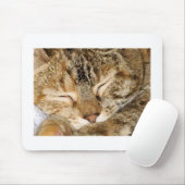 SchlafenMiezekatze Mousepad (Mit Mouse)