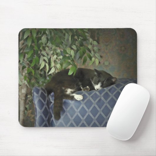 Schlafennickerchen, Miezekatze-Kätzchen Mousepad (Mit Mouse)
