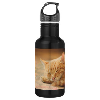 Schlafenorange Tabby-Katze Edelstahlflasche