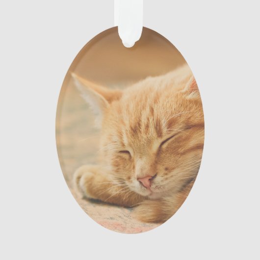 Schlafenorange Tabby-Katze Ornament (Vorderseite)