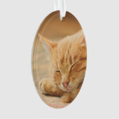 Schlafenorange Tabby-Katze Ornament (Vorderseite)