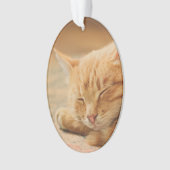 Schlafenorange Tabby-Katze Ornament (Vorderseite)