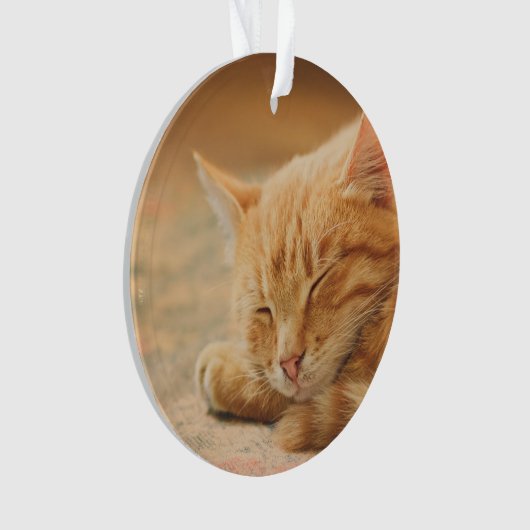 Schlafenorange Tabby-Katze Ornament (Vorderseite)