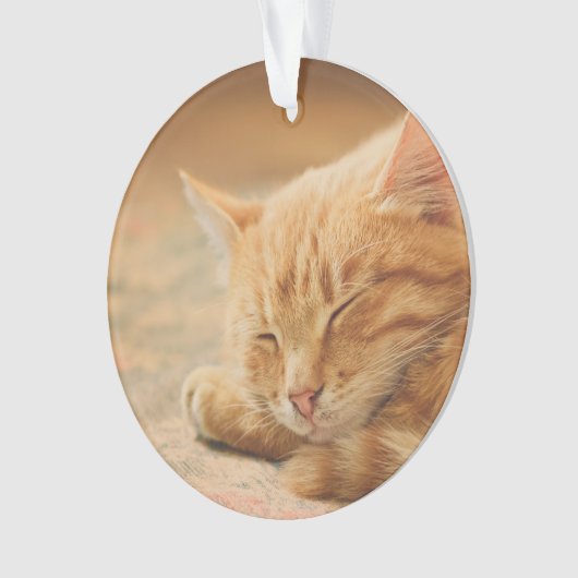 Schlafenorange Tabby-Katze Ornament (Vorderseite)