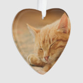 Schlafenorange Tabby-Katze Ornament (Vorderseite)