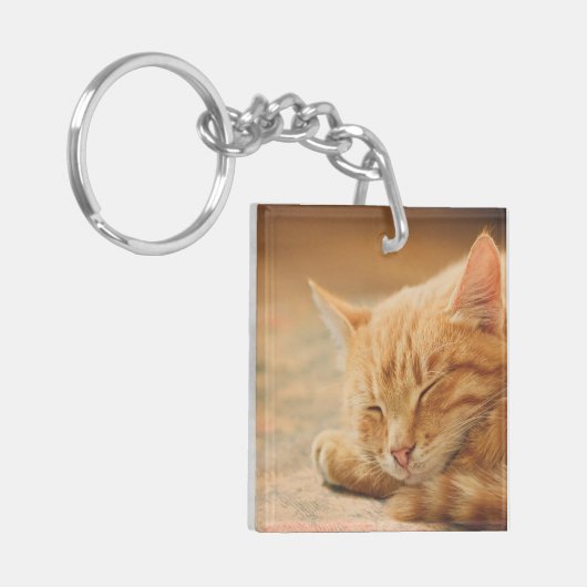 Schlafenorange Tabby-Katze Schlüsselanhänger (Vorderseite links)