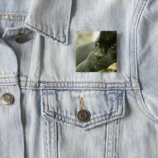 Schlafenpanther-Button Button (Beispiel)