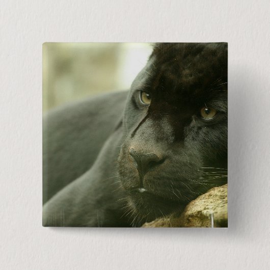 Schlafenpanther-Button Button (Vorderseite)