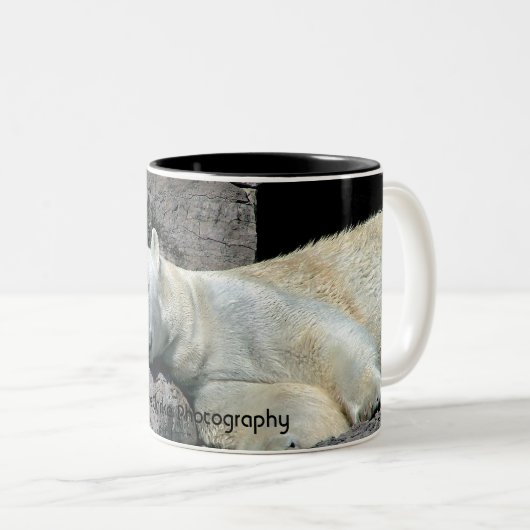 Schlafenpolarer Bärn-Tasse Zweifarbige Tasse (VorderseiteRechts)