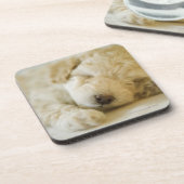 Schlafenpudelwelpe 2 getränkeuntersetzer (Linke Seite)