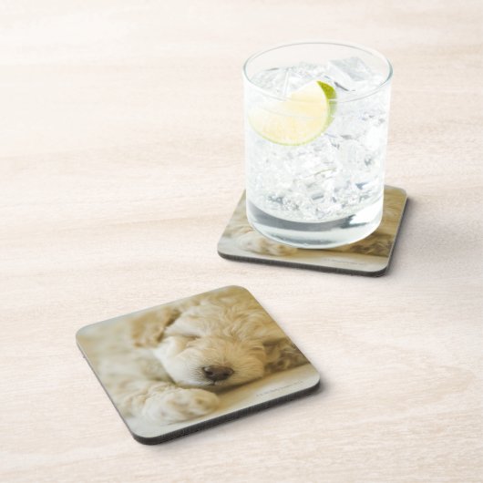 Schlafenpudelwelpe 2 getränkeuntersetzer (Rechte Seite)