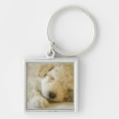 Schlafenpudelwelpe 2 schlüsselanhänger (Vorne)