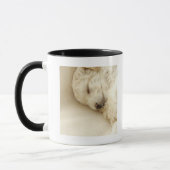 Schlafenpudelwelpe Tasse (Links)