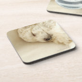 Schlafenpudelwelpe Untersetzer (Linke Seite)