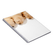 Schläfenreihe Goldene Welpen Notizblock (Rechte Seite)