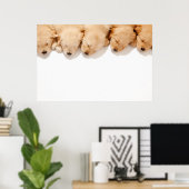 Schläfenreihe Goldene Welpen Poster (Heimbüro)