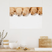 Schläfenreihe Goldene Welpen Poster (Küche)
