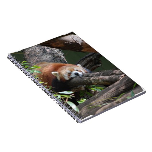 Schlafenroter Panda-Notizbuch Notizblock (Rechte Seite)