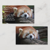 Schlafenroter Panda-Visitenkarte Visitenkarte (Vorne/Hinten)