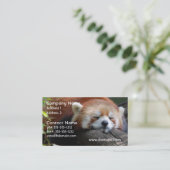 Schlafenroter Panda-Visitenkarte Visitenkarte (Stehend Vorderseite)