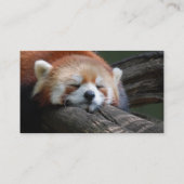 Schlafenroter Panda-Visitenkarte Visitenkarte (Rückseite)