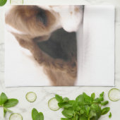 Schlafenrotes/weißes Cocker spaniel Küchentuch (Gefaltet)