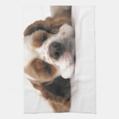 Schlafenrotes/weißes Cocker spaniel Küchentuch (Vertikal)
